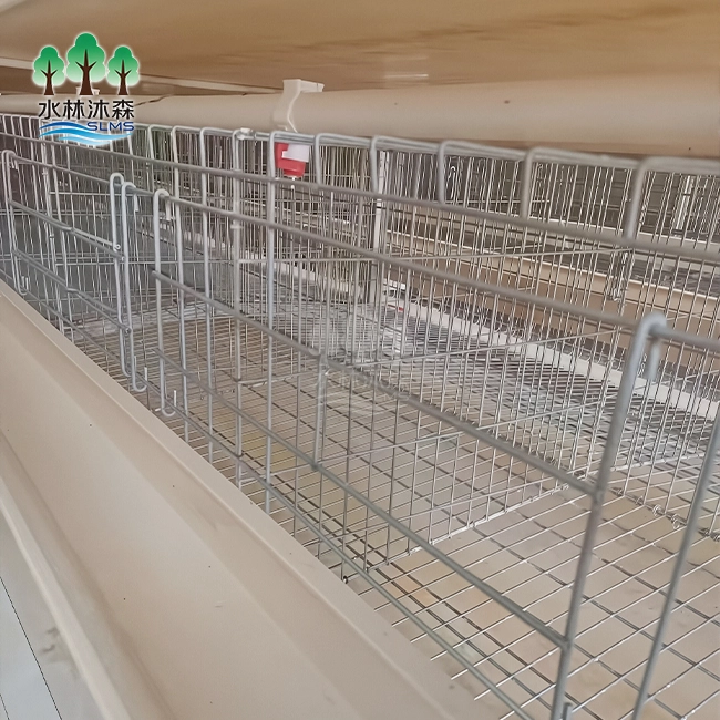 Triple-deck Layer Rearing Cage